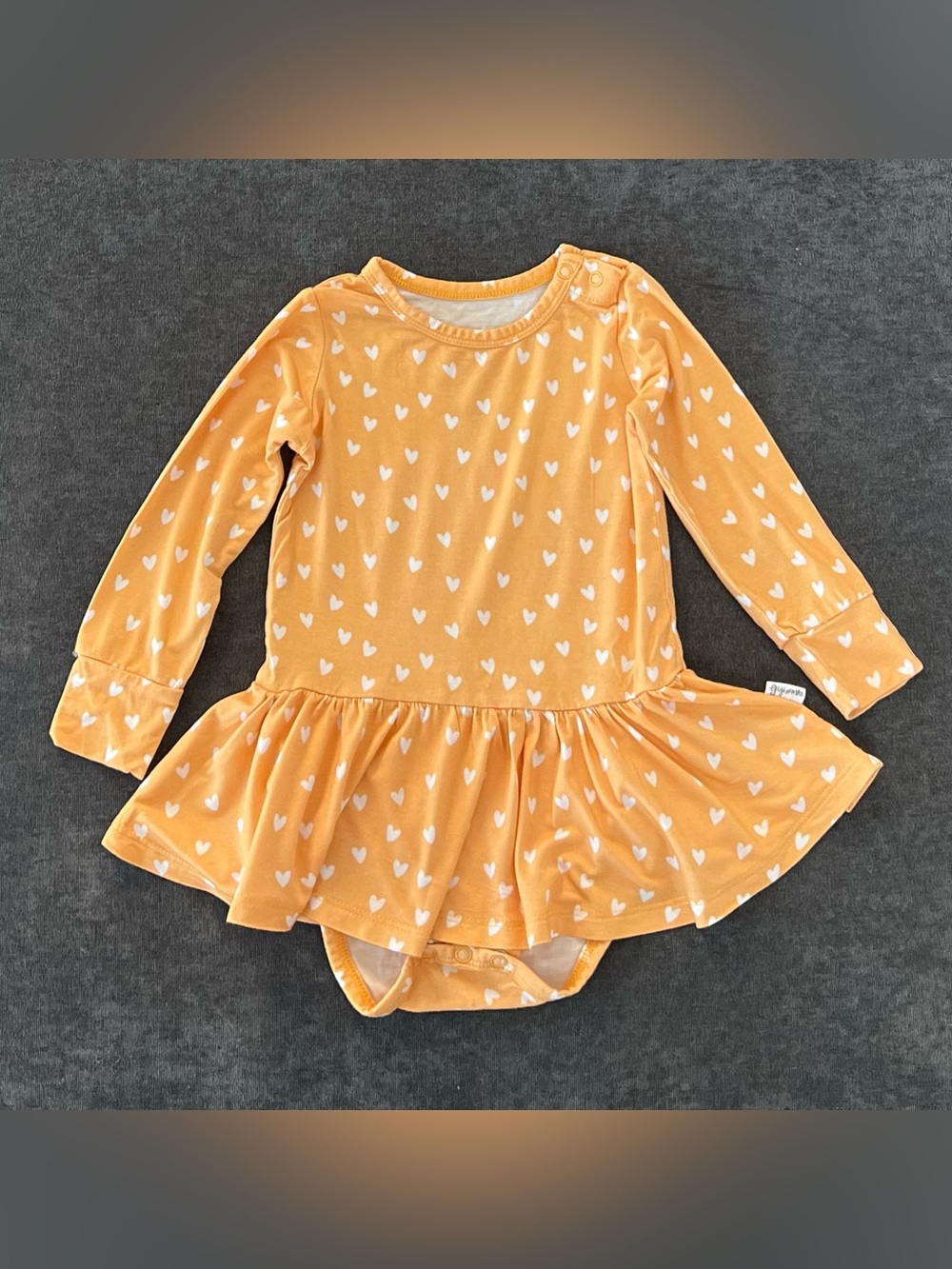 Gigi and Max Girls Skirted Bodysuit Size 18 Months